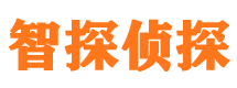 启东市侦探公司